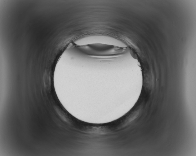 X0000086230493200704261859