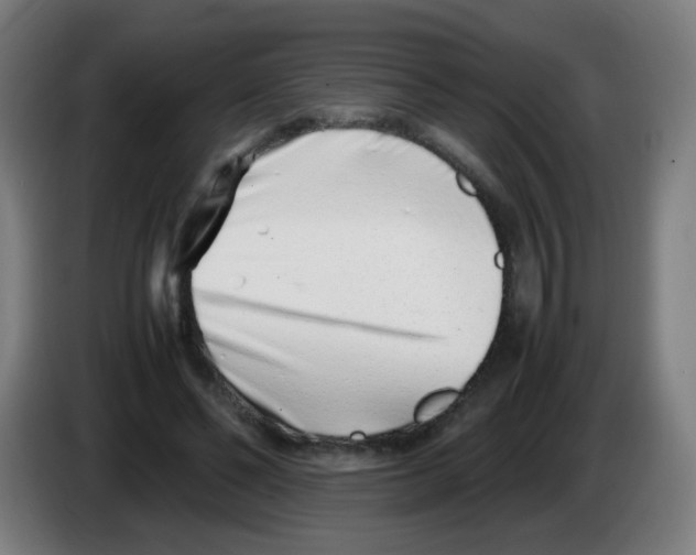 X0000086230494200704261859