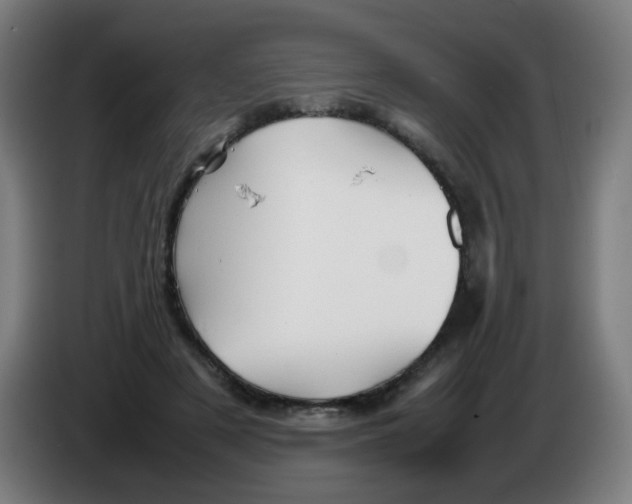 X0000086230497200704261859