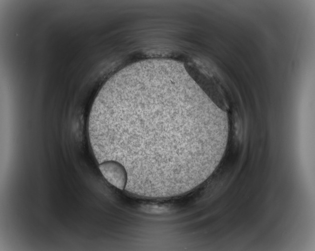 X0000086230498200704261859