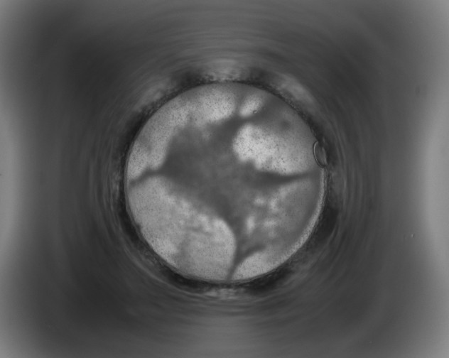 X0000086230499200704261859