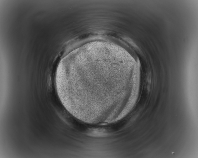 X0000086230500200704261859