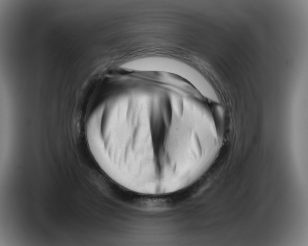 X0000086230501200704261859