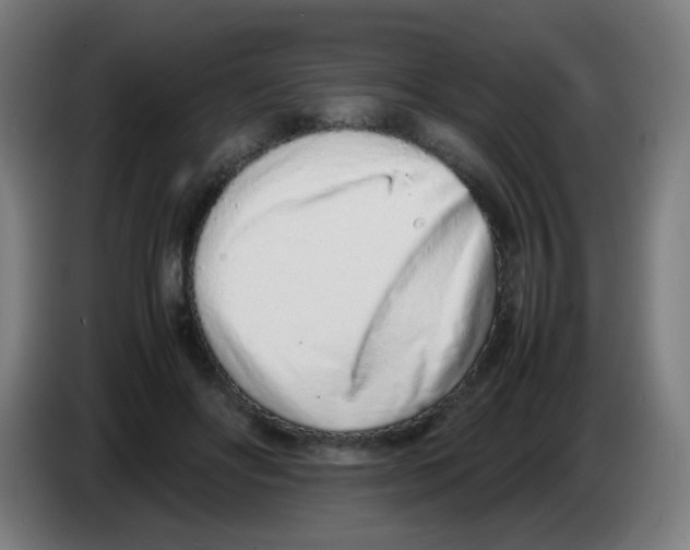 X0000086230502200704261859