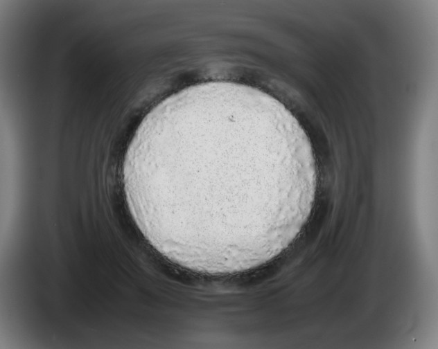 X0000086230503200704261859