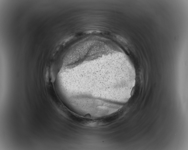 X0000086230504200704261859