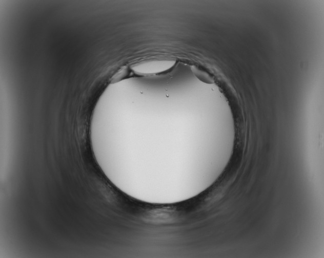 X0000086230505200704261859