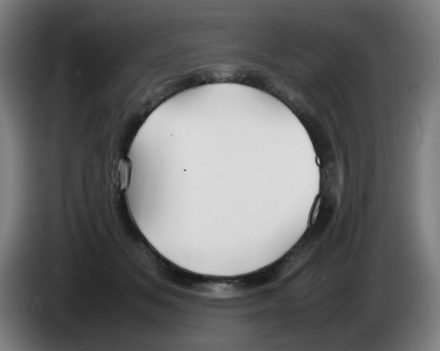 X0000086230509200704261859