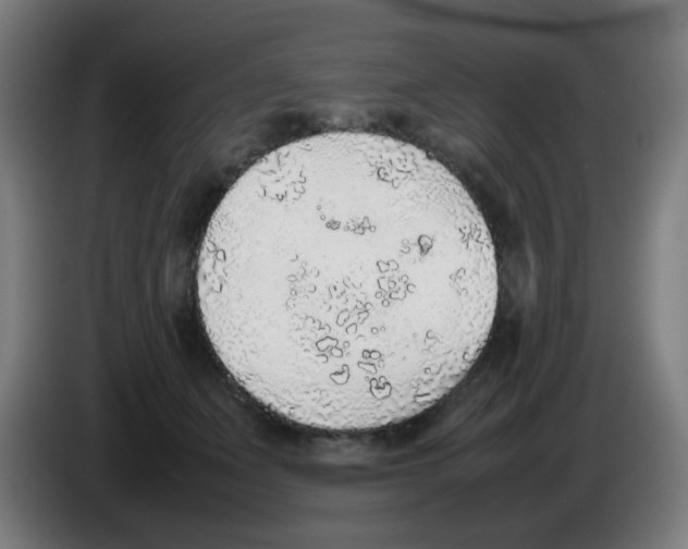 X0000086230511200704261859