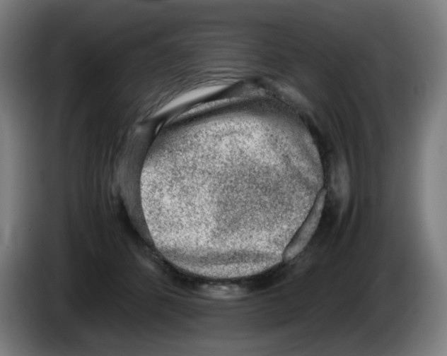 X0000086230512200704261859