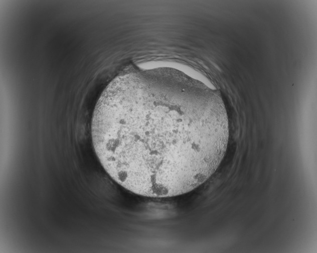 X0000086230515200704261859