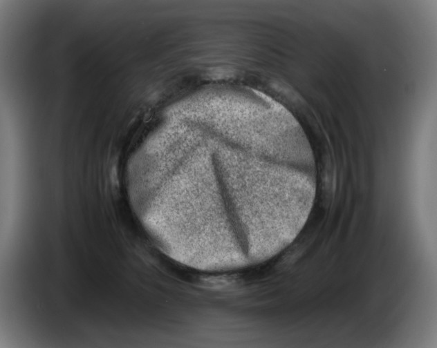 X0000086230516200704261859