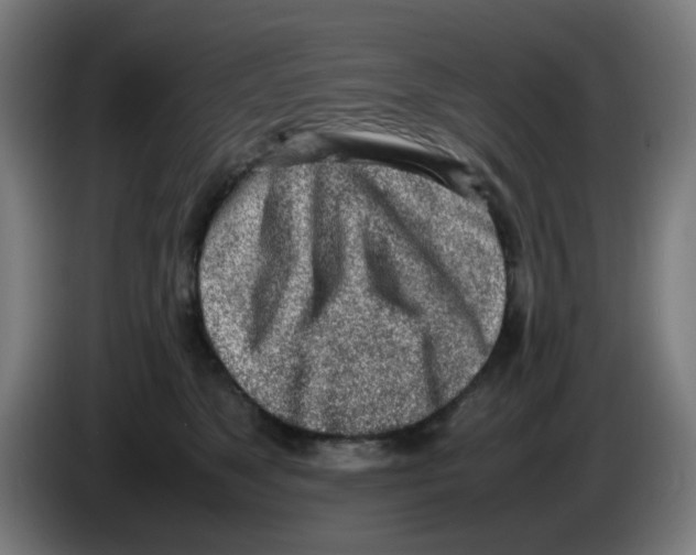 X0000086230517200704261859