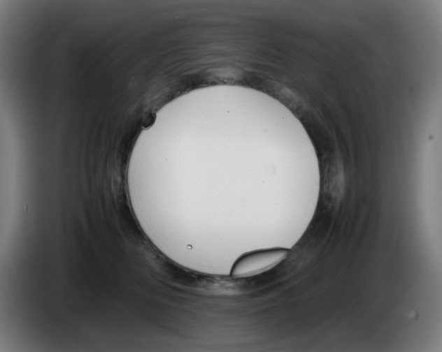 X0000086230518200704261859