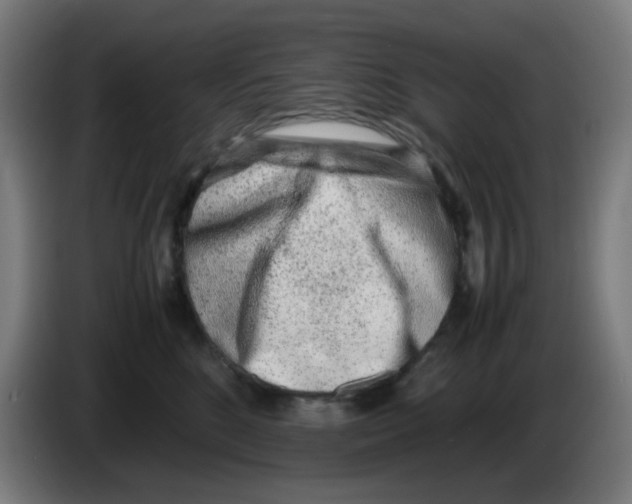 X0000086230520200704261859