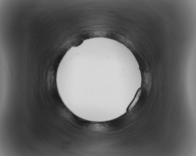 X0000086230522200704261859