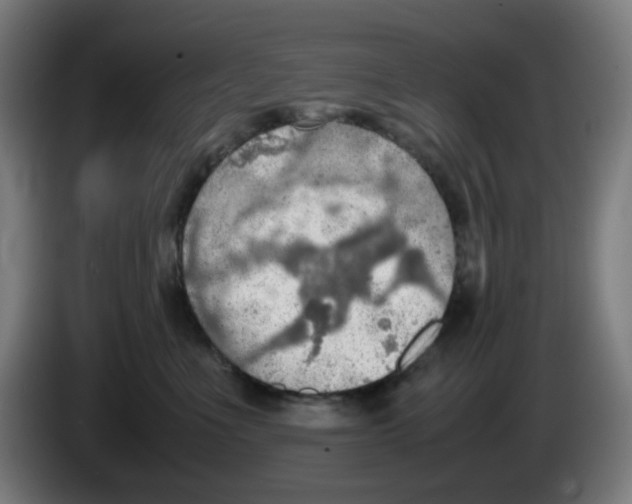 X0000086230523200704261859