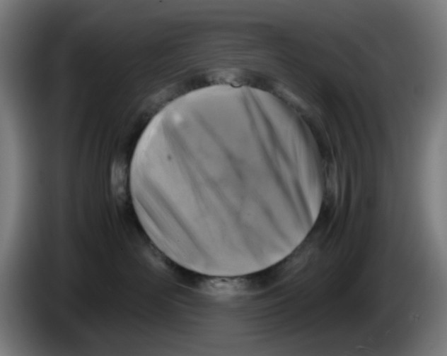 X0000086230526200704261858