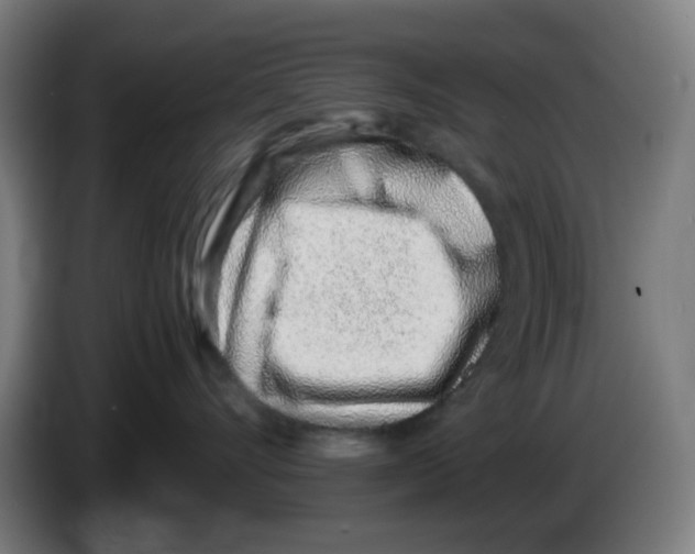 X0000086230528200704261858