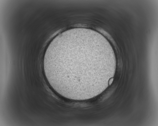 X0000086230529200704261858