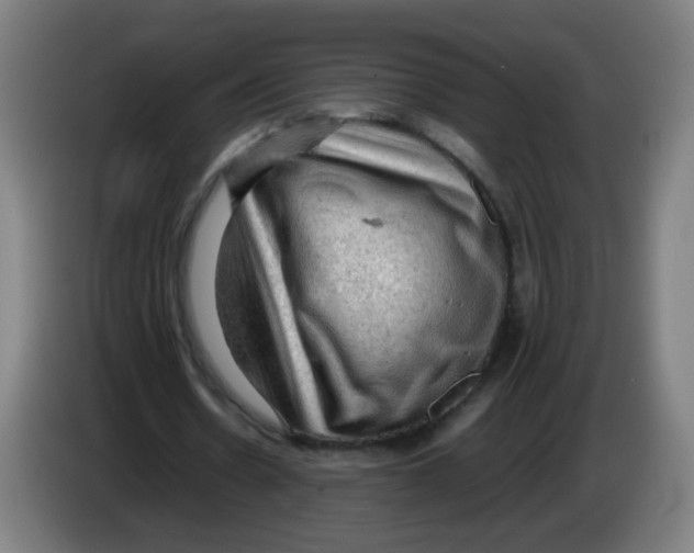 X0000086230530200704261858