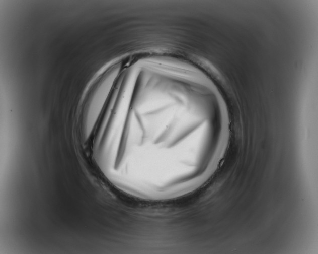 X0000086230532200704261858