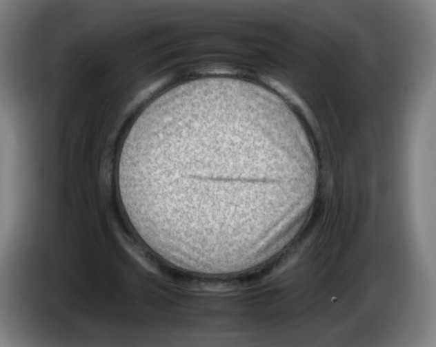 X0000086230533200704261858