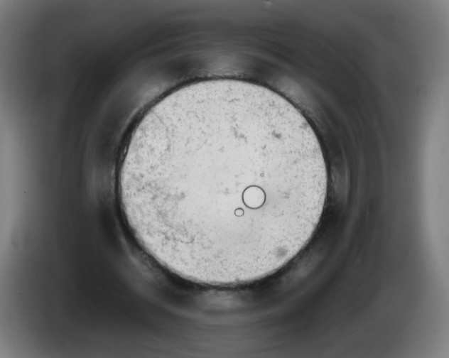 X0000086230534200704261858