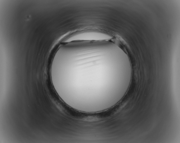 X0000086230536200704261858