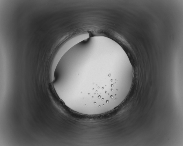 X0000086230538200704261858