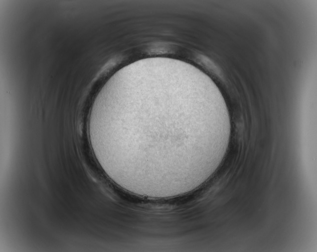 X0000086230539200704261858