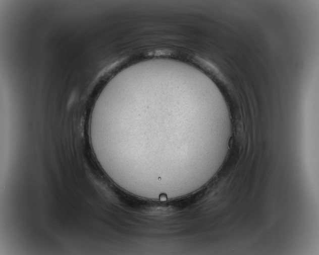 X0000086230543200704261858