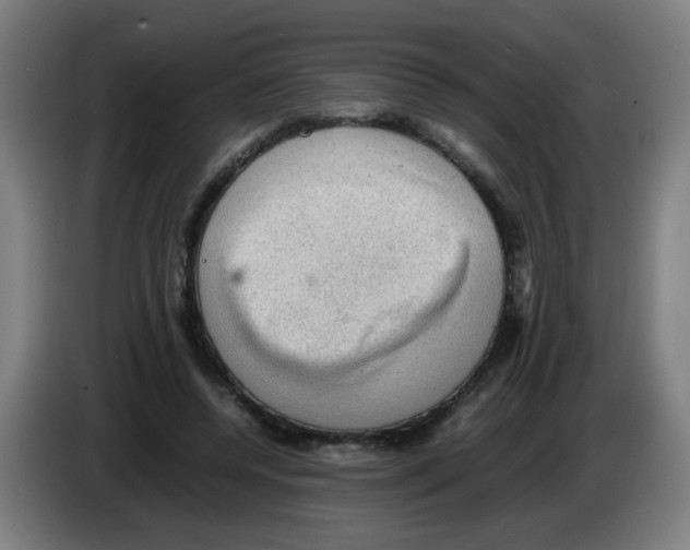 X0000086230544200704261858