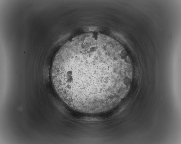 X0000086230545200704261858