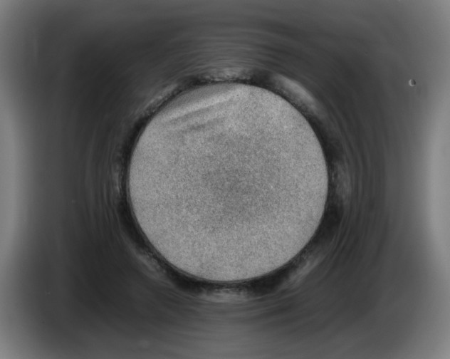 X0000086230546200704261858