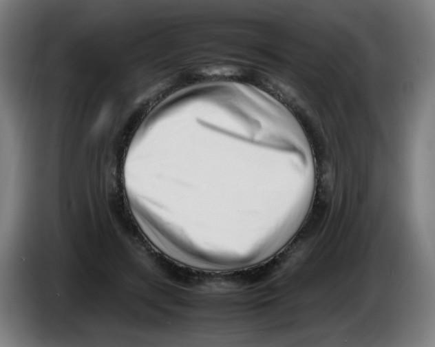 X0000086230547200704261858