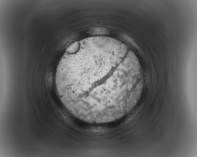 X0000086230549200704261858