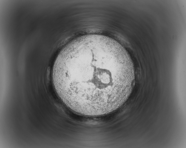 X0000086230550200704261858