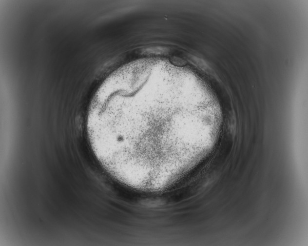 X0000086230551200704261858