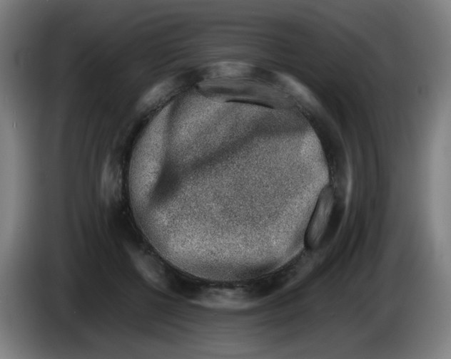 X0000086230552200704261858