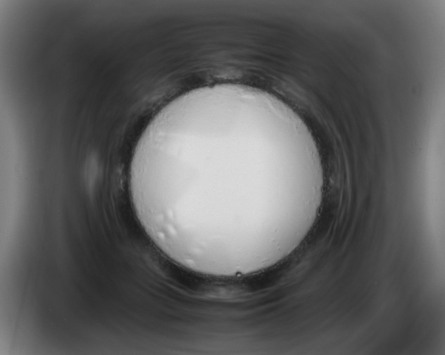 X0000086230555200704261858