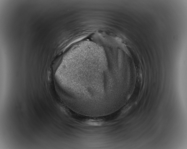 X0000086230556200704261858