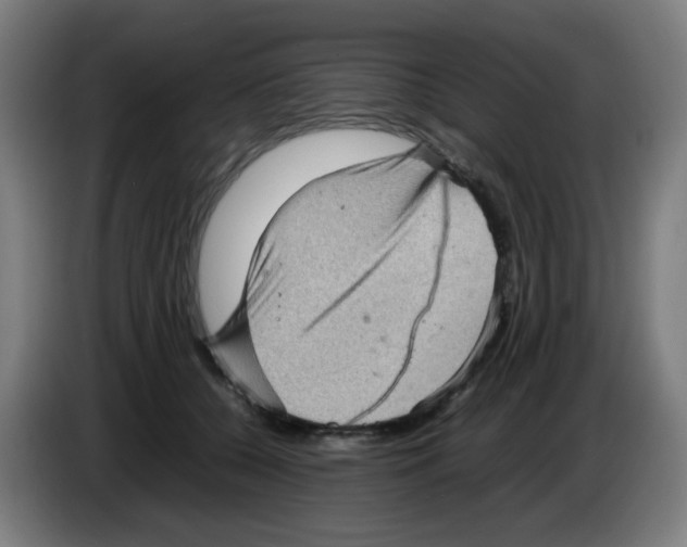 X0000086230560200704261858