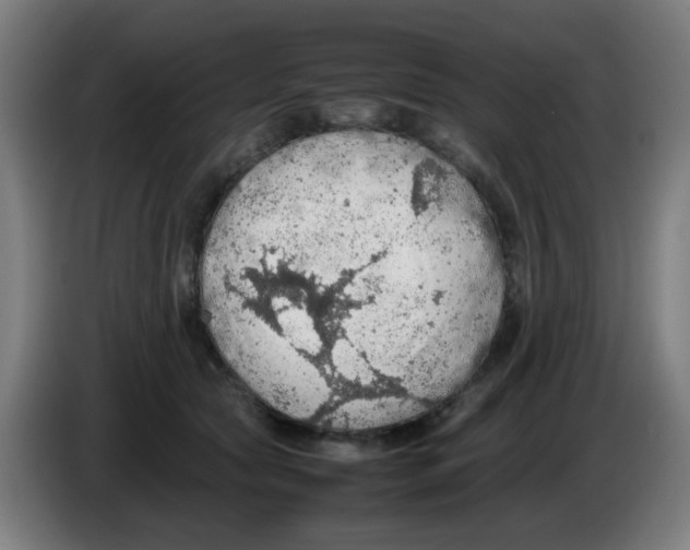 X0000086230561200704261858