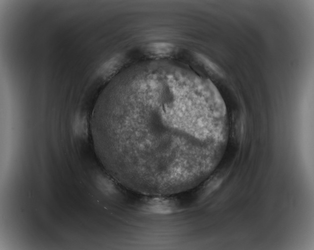 X0000086230562200704261858