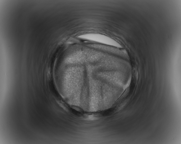 X0000086230564200704261858