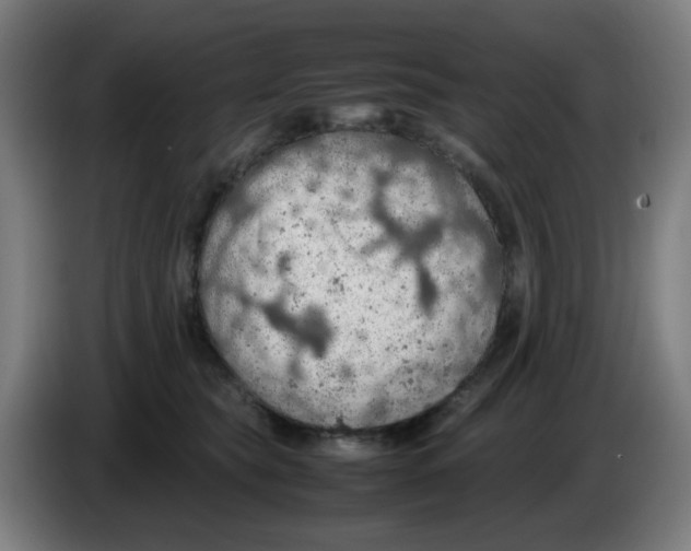 X0000086230565200704261858