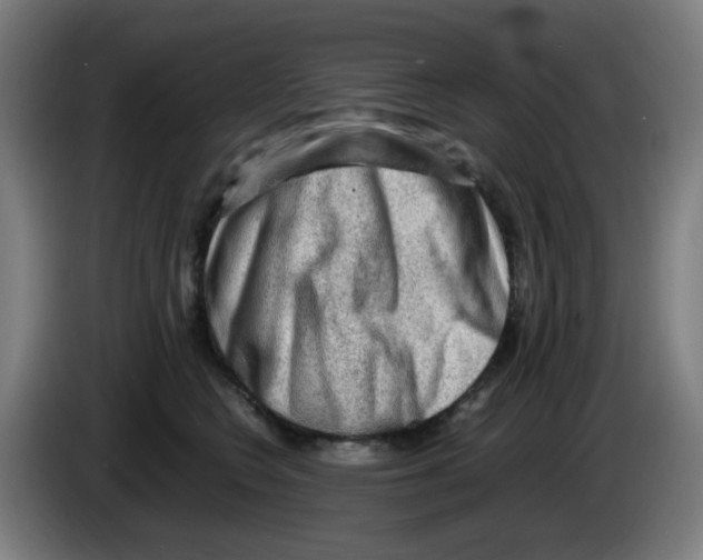 X0000086230566200704261858