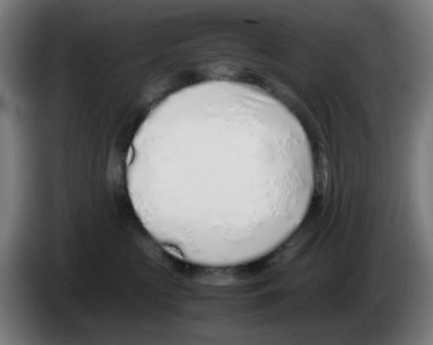 X0000086230573200704261858