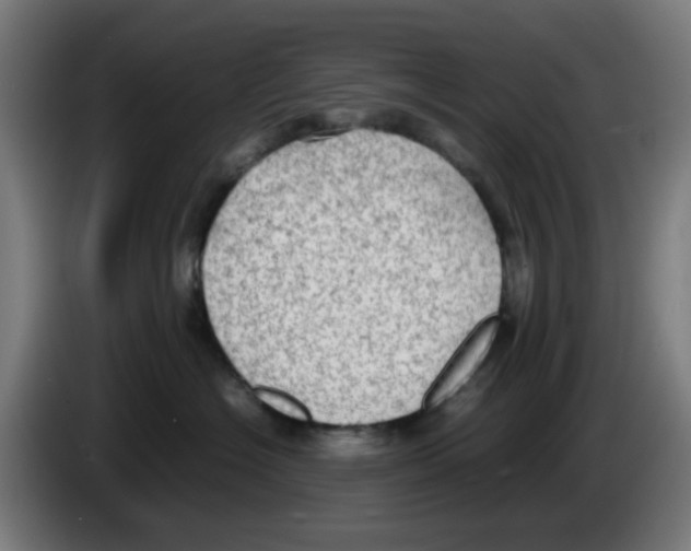 X0000086230574200704261858